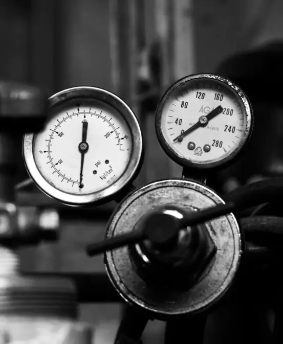 pexels-padrinan-16679541